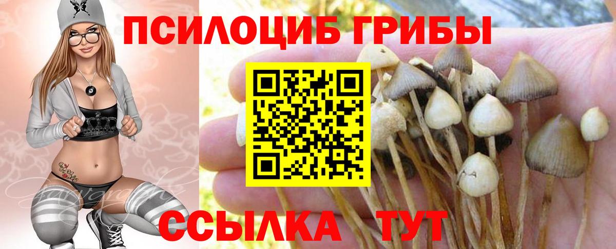 Псилоцибиновые грибы мухоморы Карпинск