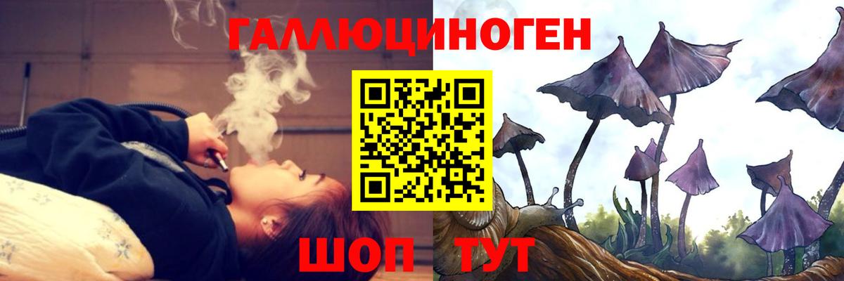Псилоцибиновые грибы Cubensis  Вход с VPN  Карпинск 